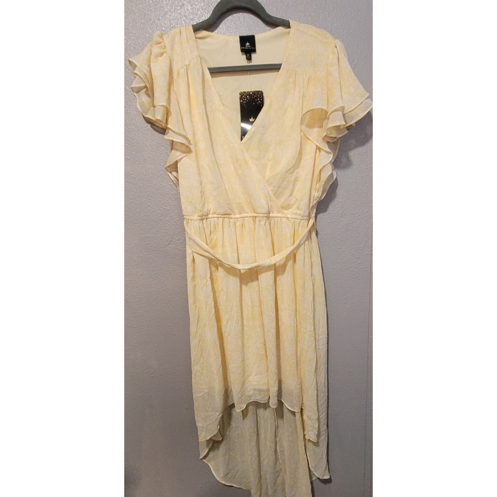 NWT Disney  Princess Belle Dress XL